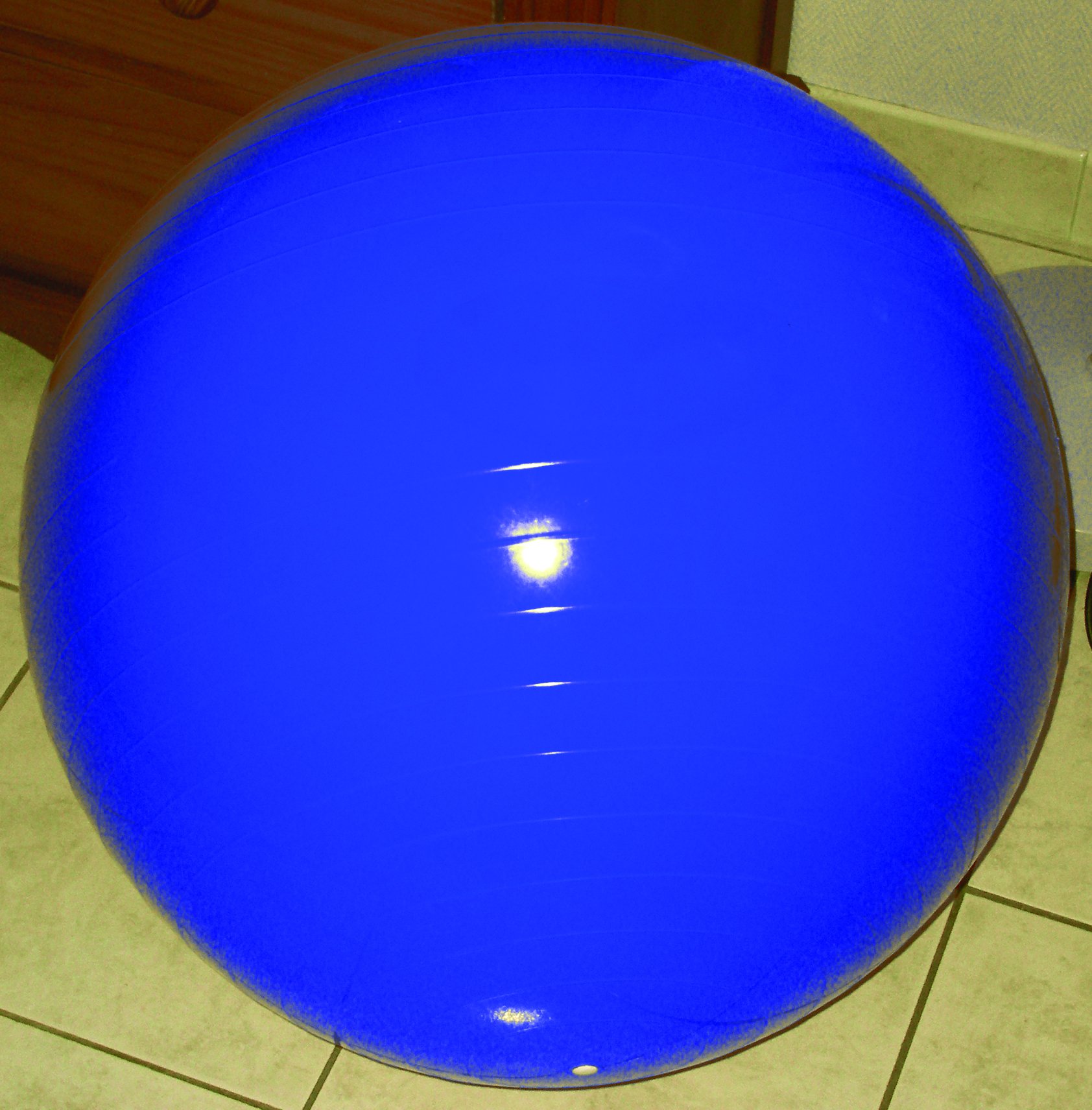 Push Ball bleu -  100 cm (REF MOT-40.4)